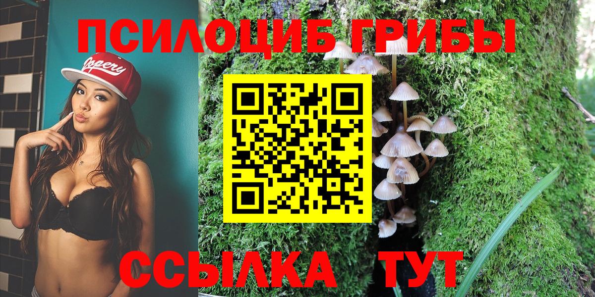 Энгельс  Галлюциногенные грибы Cubensis  Вход с VPN  наркошоп  Псилоцибиновые грибы Cubensis 